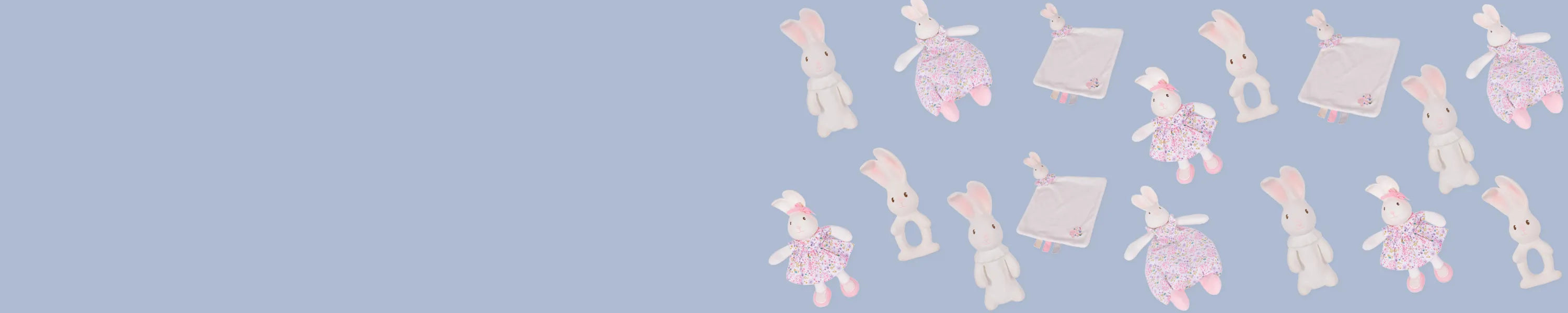 Havah the Bunny