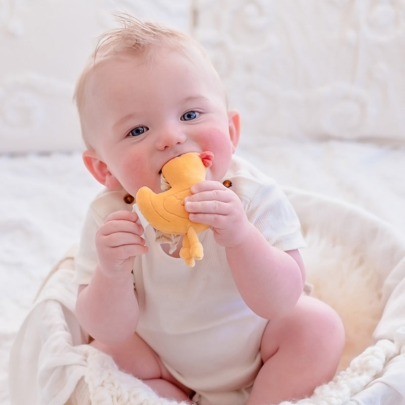Tag Along Pram Toys - Tara
