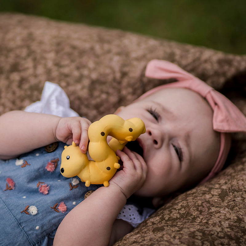 Caterpillar Natural Rubber Teether, Rattle & Bath Toy