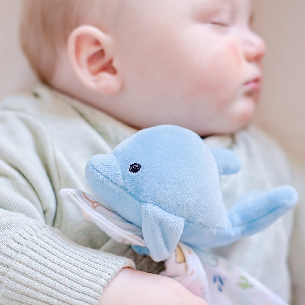 Dolphin Comforter