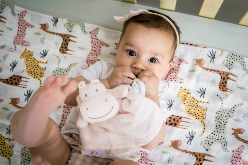 Hippo Comforter with Rubber Teether