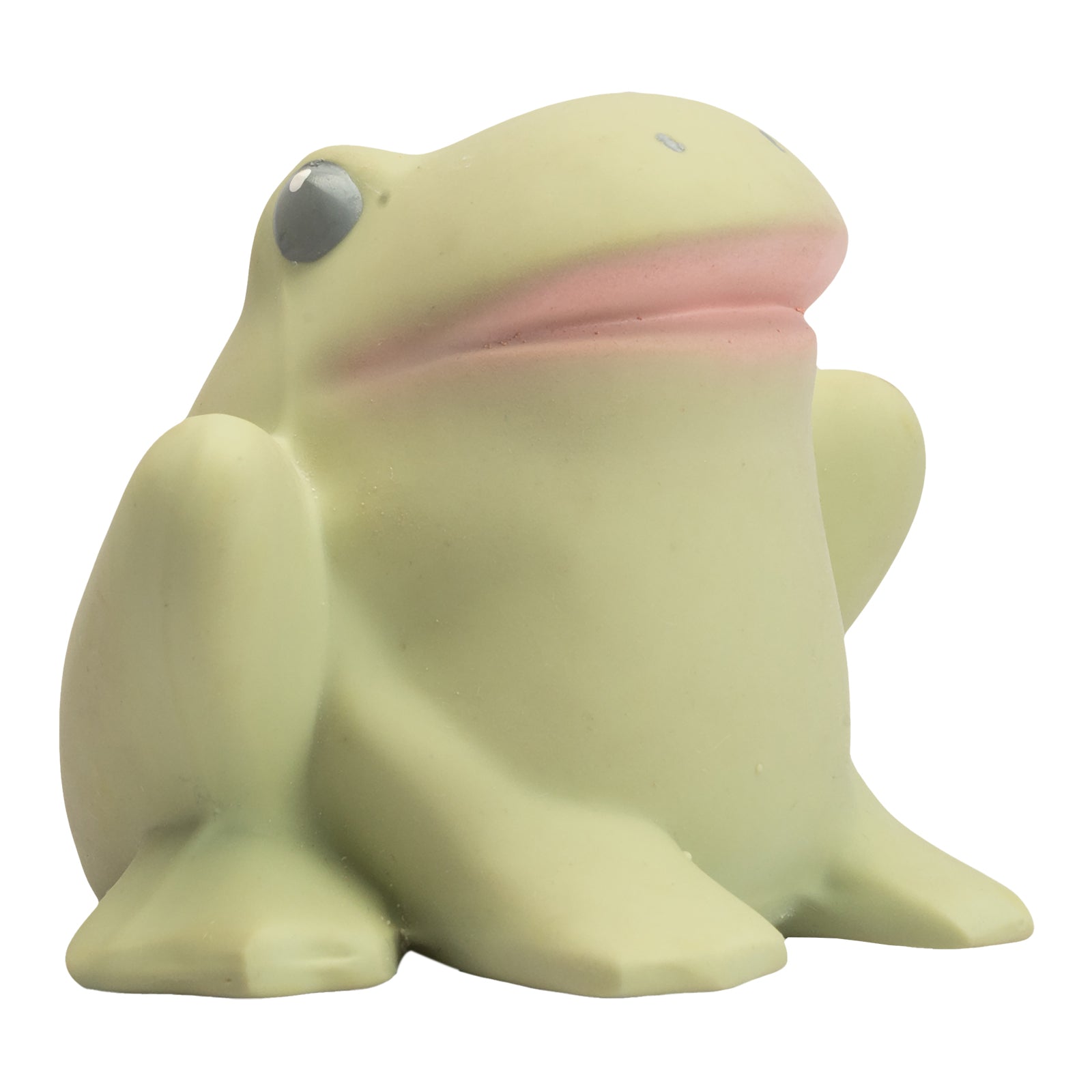 Gemba the Frog Organic Natural Rubber Teether, Rattle & Bath Toy