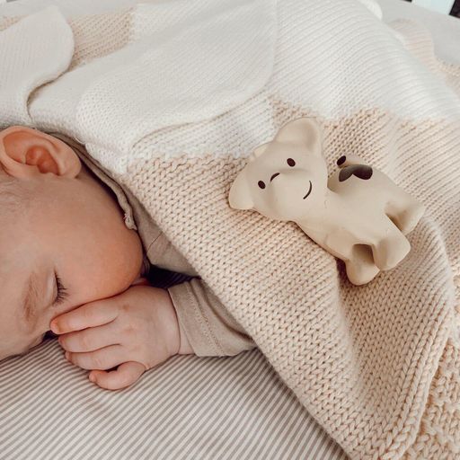 Puppy Organic Natural Rubber Rattle, Teether & Bath Toy