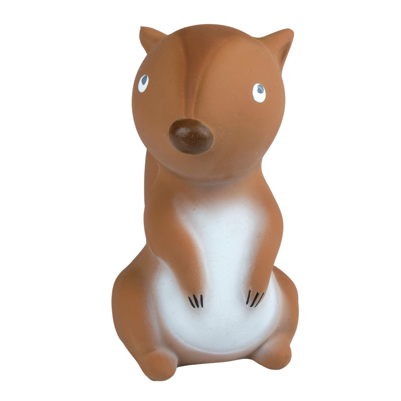 Arctic Squirrel Organic Natural Rubber Teether, Rattle & Bath Toy