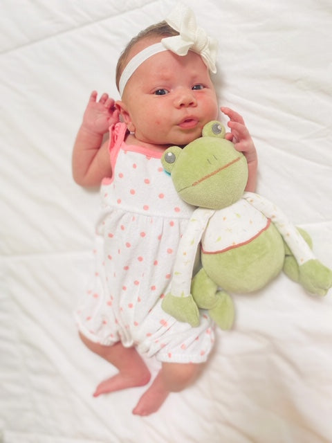 Gemba the Frog Organic Soft Toy