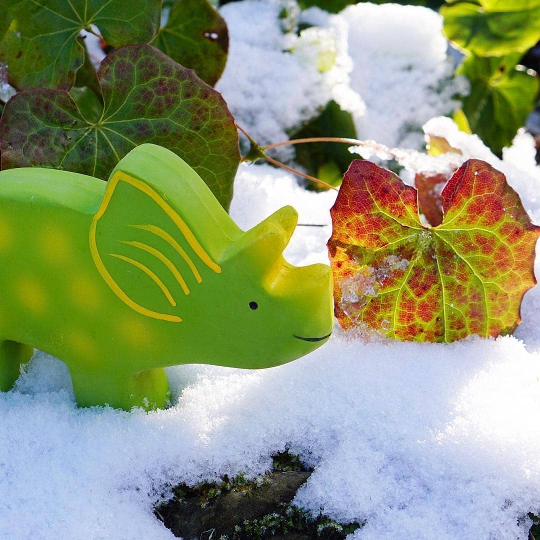 Baby Triceratops (Trice) Organic Natural Rubber Toy