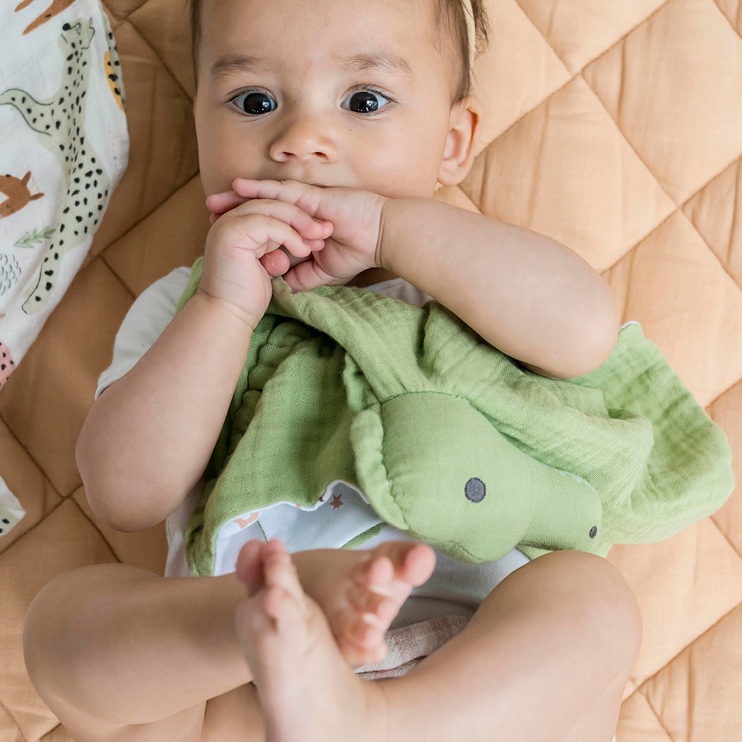 Crocodile Comforter with Rubber Teether