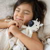 Zebra Comforter with Rubber Teether