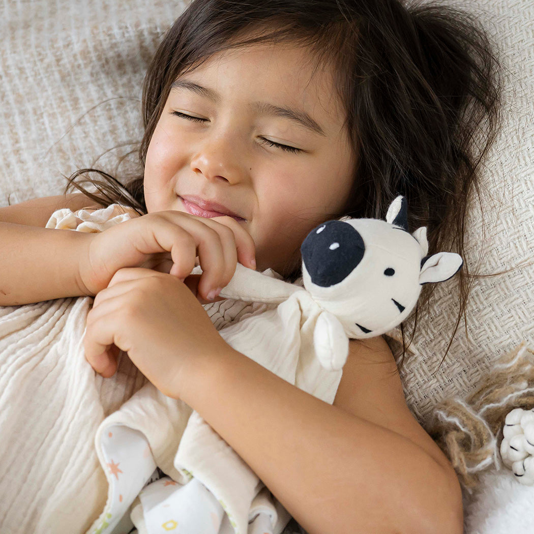 Zebra Comforter with Rubber Teether