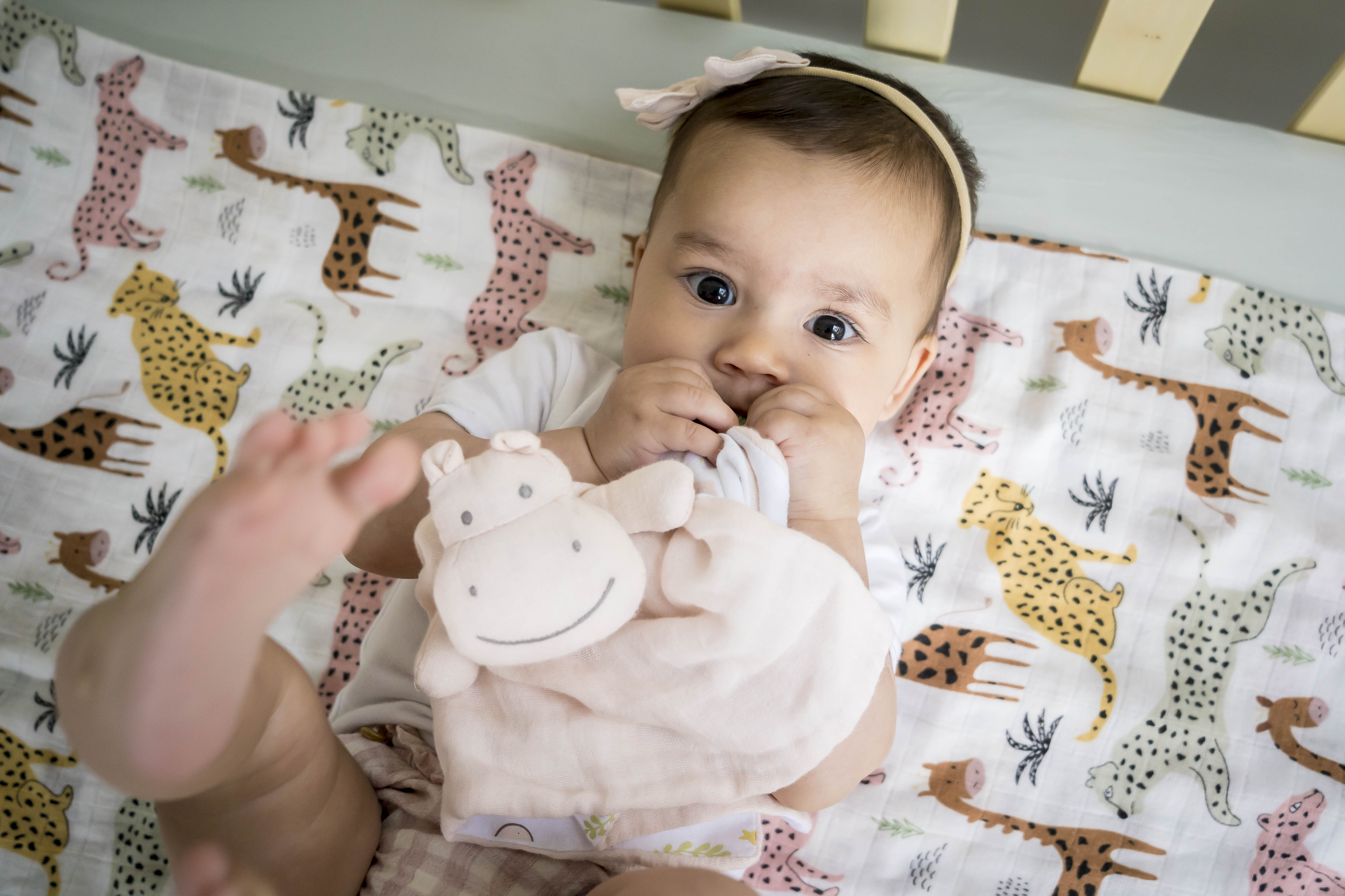 Hippo Comforter with Rubber Teether