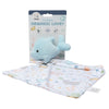 Dolphin Comforter