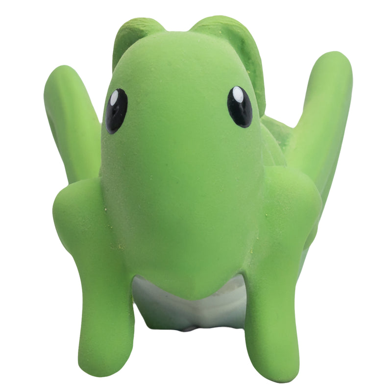 Grasshopper Natural Rubber Teether, Rattle & Bath Toy