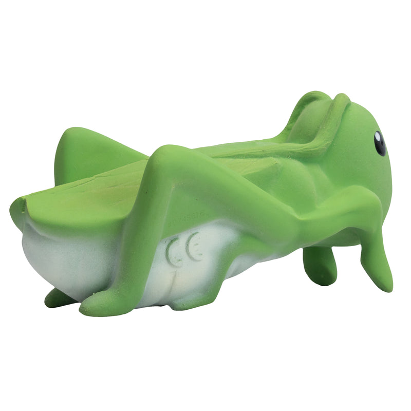 Grasshopper Natural Rubber Teether, Rattle & Bath Toy
