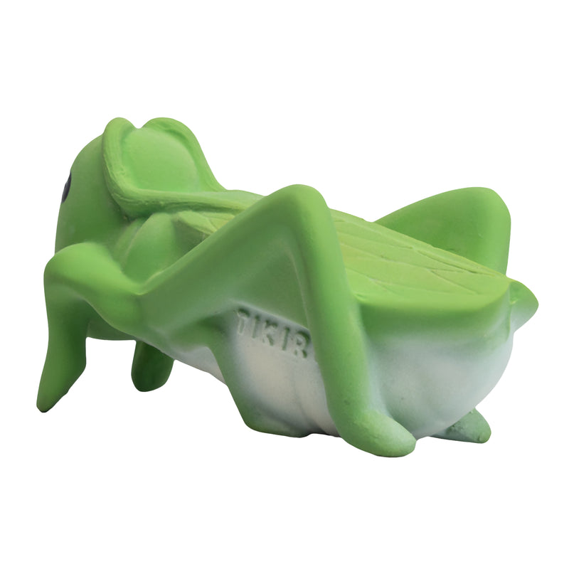 Grasshopper Natural Rubber Teether, Rattle & Bath Toy