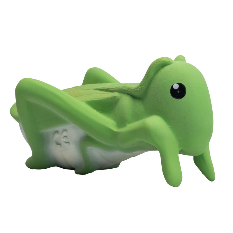 Grasshopper Natural Rubber Teether, Rattle & Bath Toy