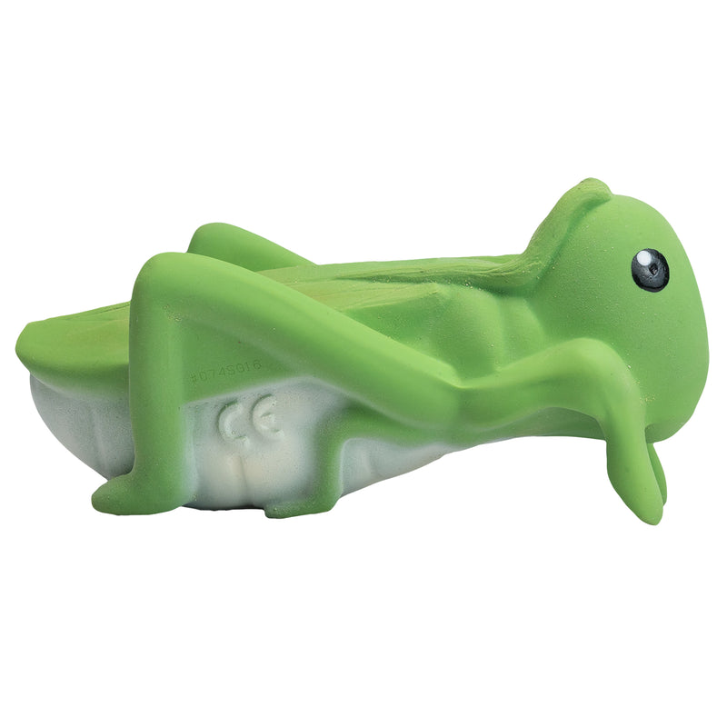 Grasshopper Natural Rubber Teether, Rattle & Bath Toy