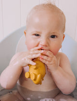 Stego Natural Rubber Teether, Rattle & Bath Toy