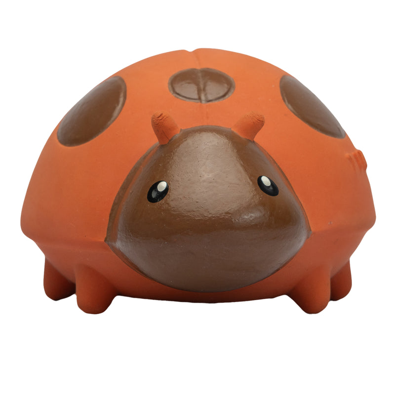 Ladybug Natural Rubber Teether, Rattle & Bath Toy