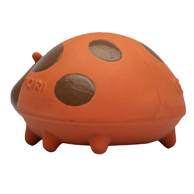 Ladybug Natural Rubber Teether, Rattle & Bath Toy