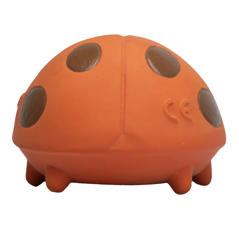Ladybug Natural Rubber Teether, Rattle & Bath Toy