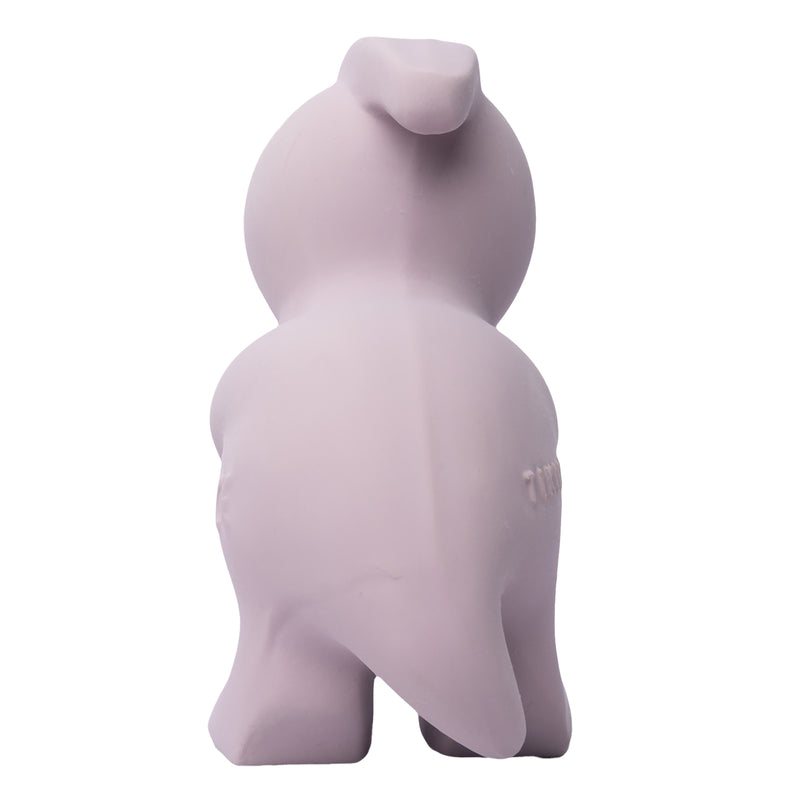 Para Dinosaur Natural Rubber Teether, Rattle & Bath Toy