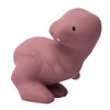 T-Rex Natural Rubber Teether, Rattle & Bath Toy