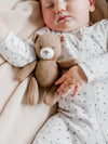 Way Back When Bear (BEAR ONLY)