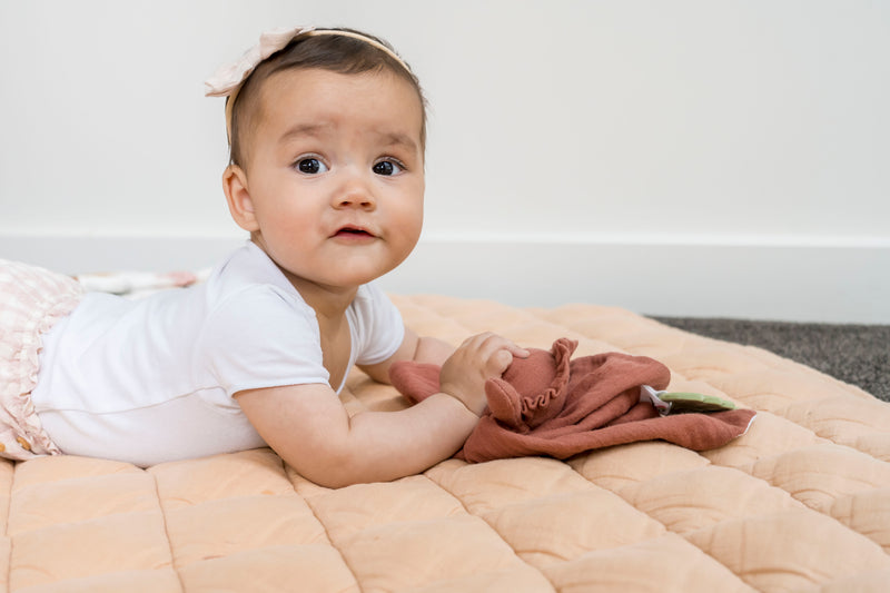 Lion Comforter with Rubber  Teether