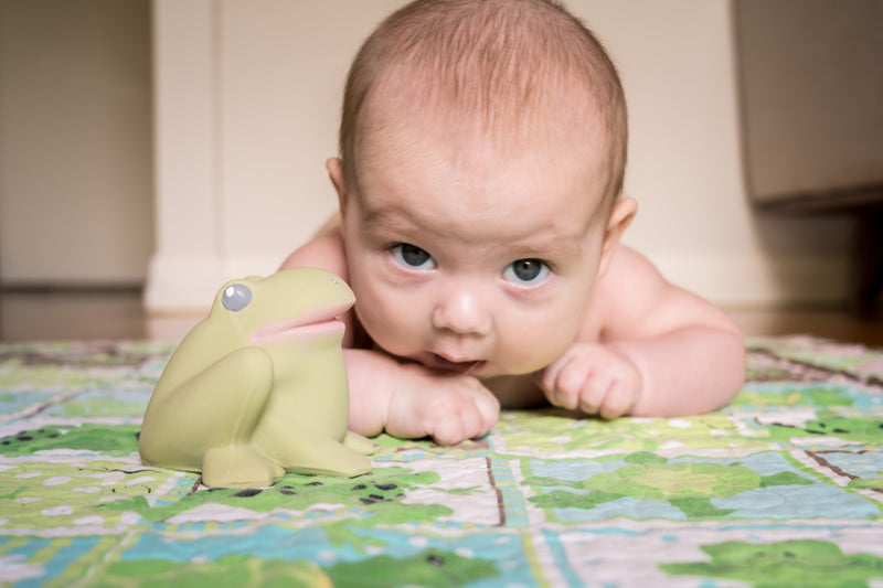 Tikiri Toys Gemba The Frog Natural Rubber Teether, Rattle & Bath Toy